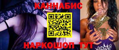 гидра Будённовск