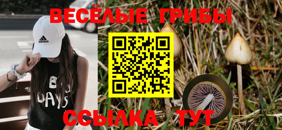 Миасс  Галлюциногенные грибы Magic Shrooms  Вход с VPN 