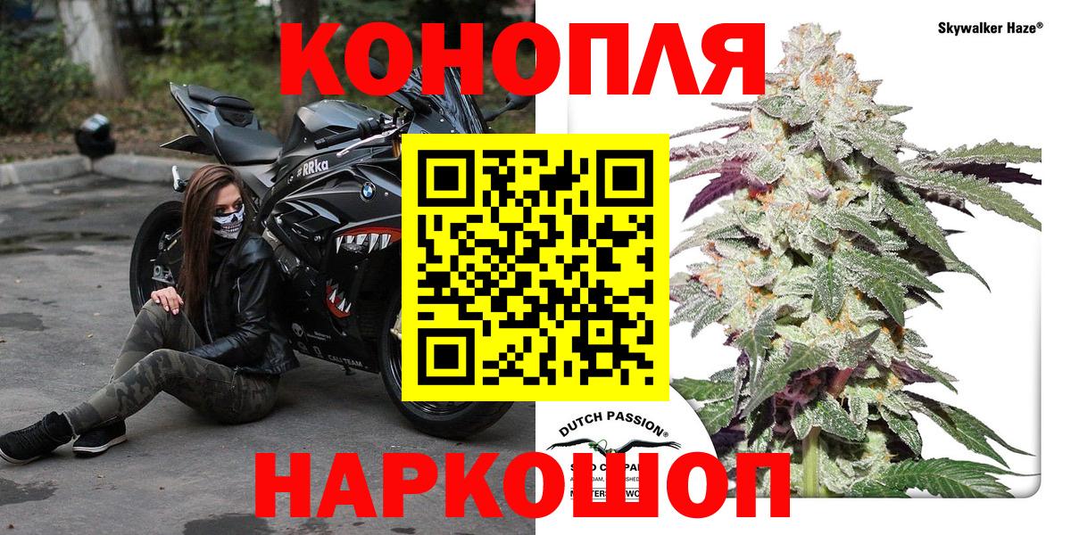 Конопля план  Каннабис сатива  Миасс  Бошки марихуана гибрид  Вход с VPN 